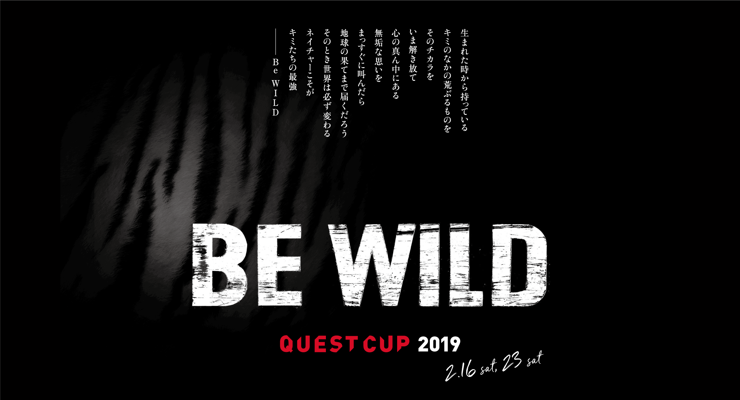 QuestCup2019